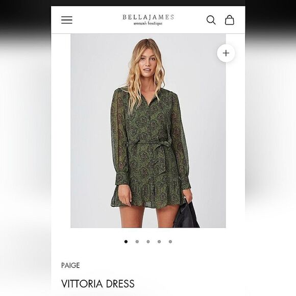 Paige dress  - Picture 3 of 12